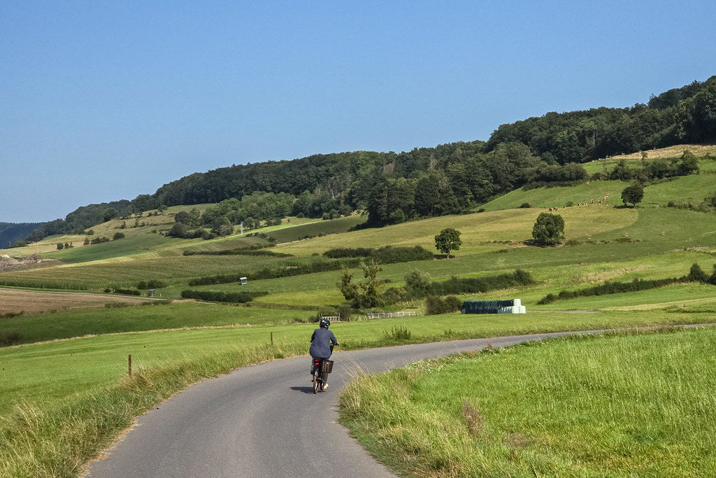 Train Horn as an Aggressive-Dog Deterrent: A Real Option for Walkers, Runners, and Cyclists