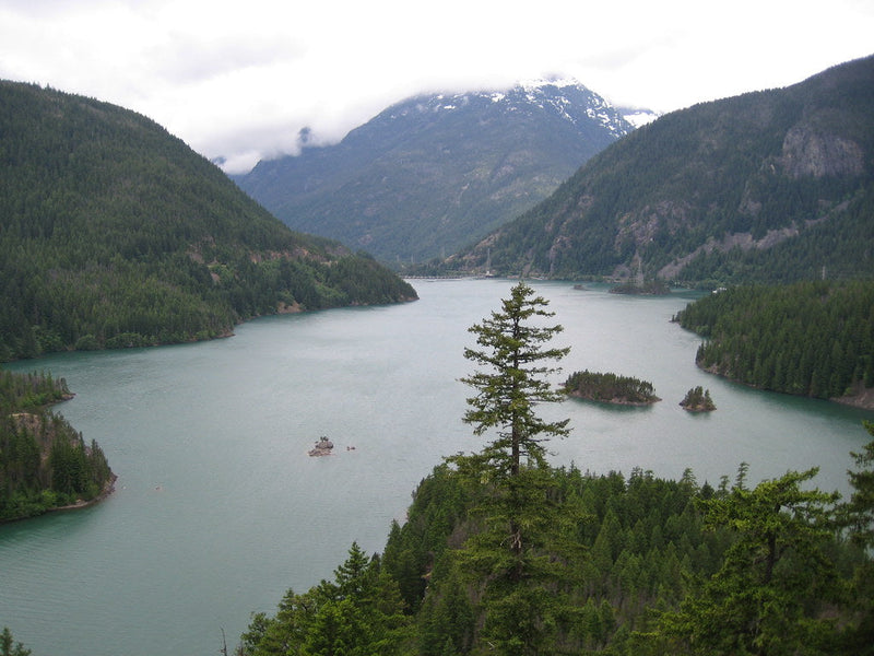Are Train Horns Legal in Washington State? RCW Rules and the No-Inspection Advantage