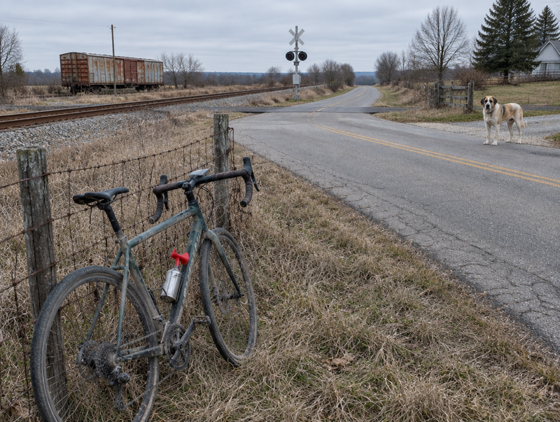 A bicycle leans on a farm fence by a country road and rail line while a loose dog watches from a driveway.