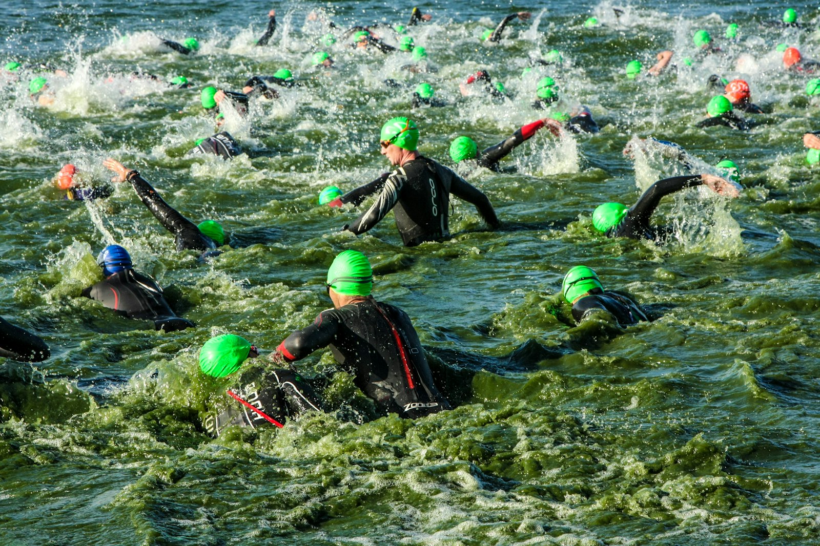 Large group of open-water swimmers spread across a calm lake at dawn during a triathlon swim start