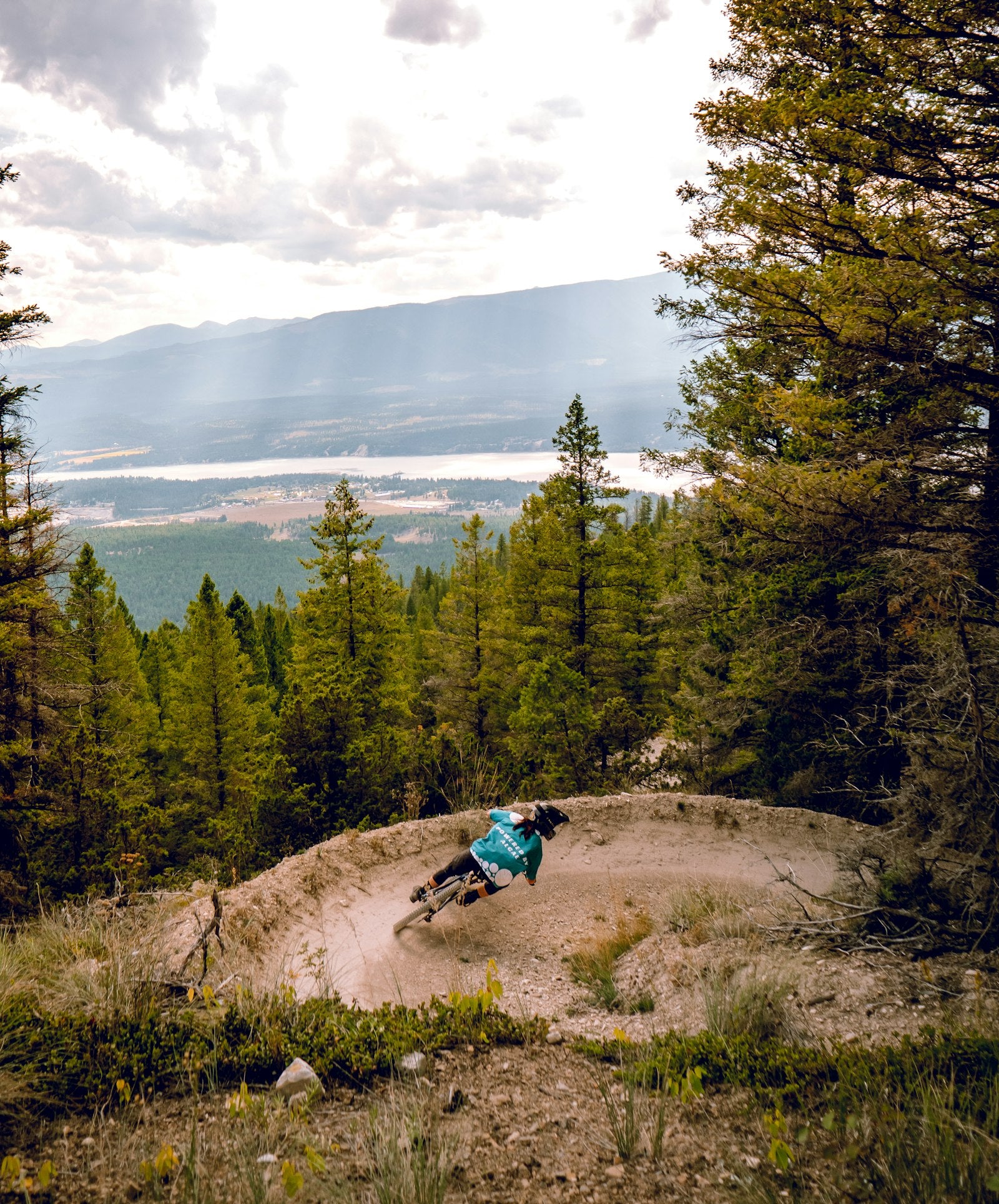Mountain biker riding a singletrack trail through a forest of fir and pine trees on a mountainside
