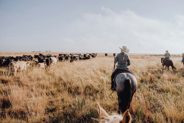 Air Horns for Ranch & Livestock