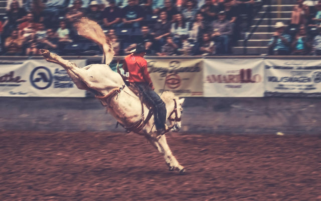 Air Horns for Rodeo Events