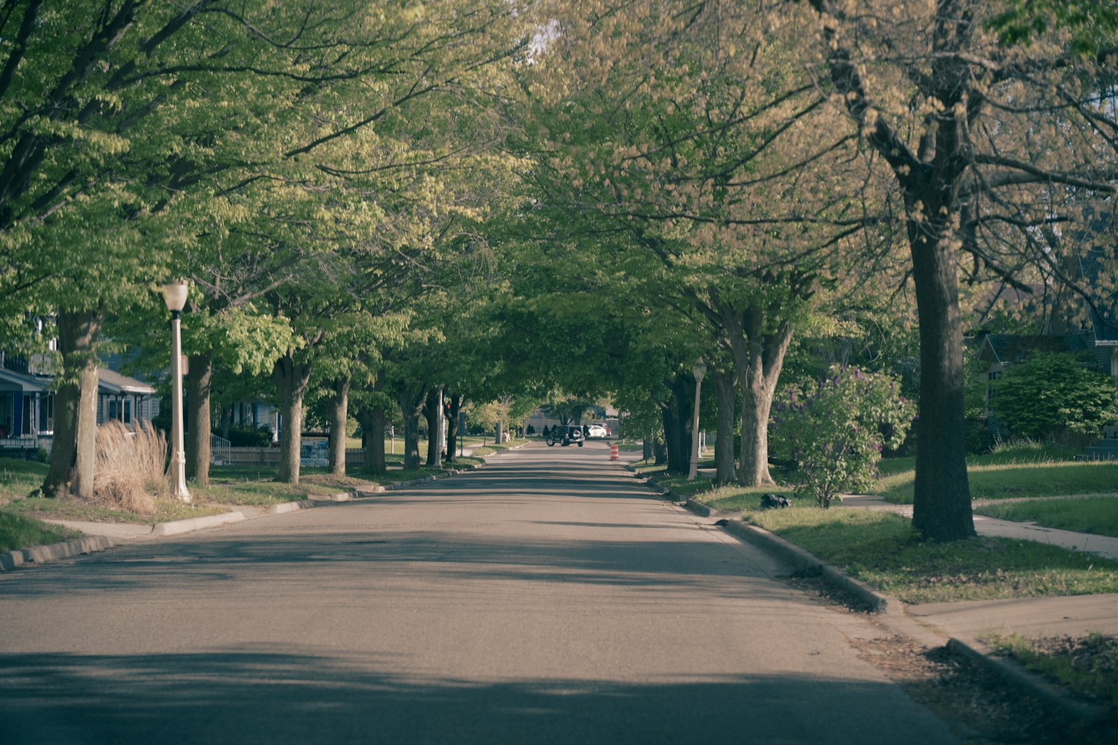 A quiet tree-lined residential street of single-family homes on a calm suburban block, the kind of neighborhood a watch group keeps an eye on